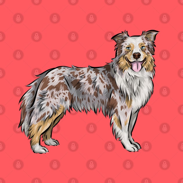 Australian Shepherd Dog | Red Merle | Rose Ears by Shirin Illustration