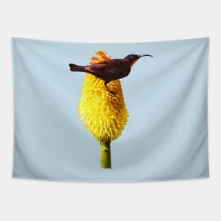 Amethyst Sunbird on Flowering Red Hot Poker Tapestry