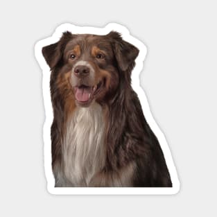 Dog breed Australian Shepherd Magnet