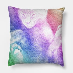 Binx Kitten Pillow