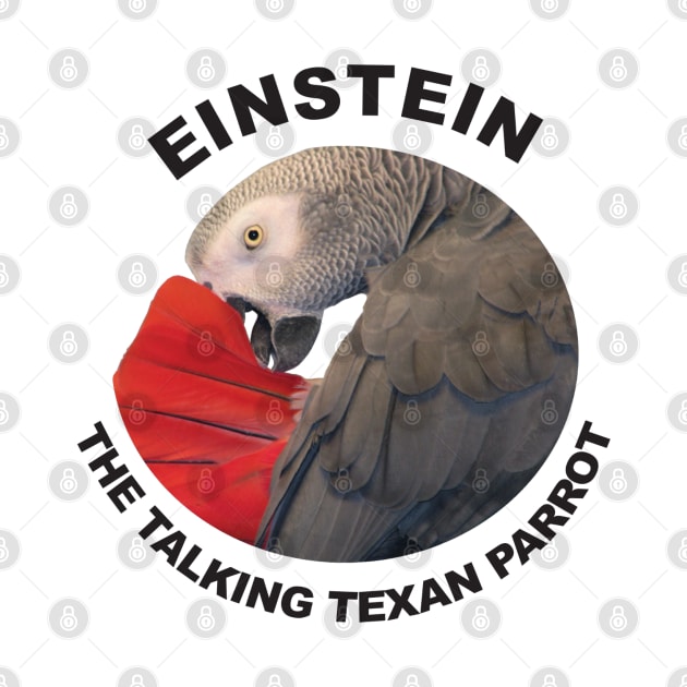 Logo of Einstein the Talking Texan Parrot by Einstein Parrot