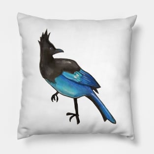 Steller's Jay Pillow