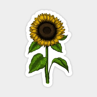 Sunflower Magnet