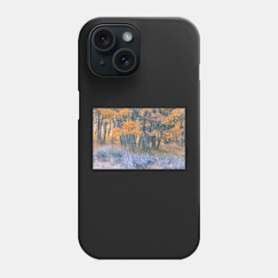 Autumn Aspens Phone Case