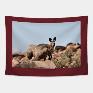 Western Grey Kangaroo Tapestry