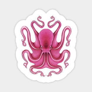 Red Octopus Magnet