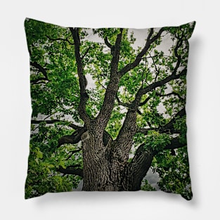 Oak Crown Pillow