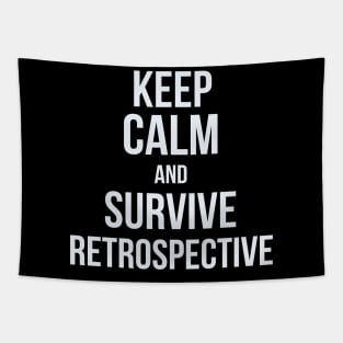 Developer Keep Calm and Survive Retrospective Tapestry