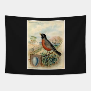 Red Robin, Vintage print, Circa 1800-1900 Tapestry