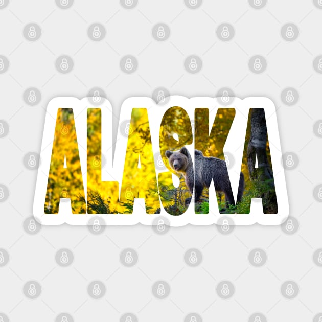 ALASKA - Brown Bear on the Hunt USA Magnet by TouristMerch
