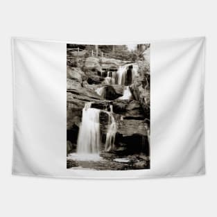 Chapman Falls Tapestry