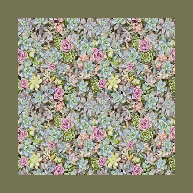 Succulents Pastels by My Petal Press