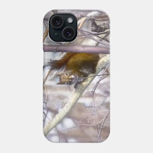 Red squirrel. "You looking at me." Phone Case