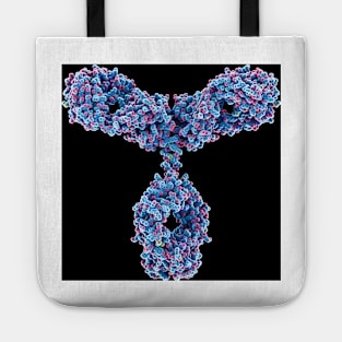 Immunoglobulin G antibody molecule (C019/7144) Tote