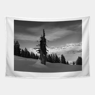 Winter on a Swiss mountain top Tapestry