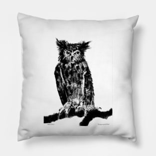 Long-eared owl Portrait Pillow