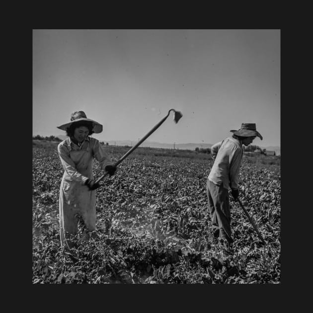 Japanese Women Farm Workers Oregon 1940s by Lobo Del Noir