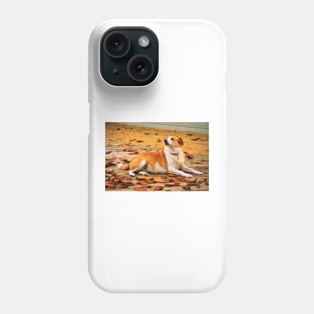 Fall Fusion Phone Case by bgaynor