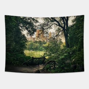 Central Park, Manhattan, New York City Tapestry