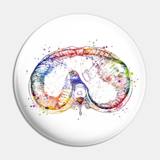 Thoracic Diaphragm Watercolor Medical Gift Pin