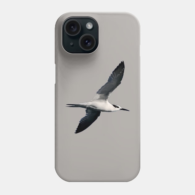 Sandwich Tern Seagull Bird In Flight Cut Out Phone Case by taiche