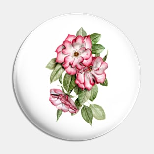 Portland Roses Pin