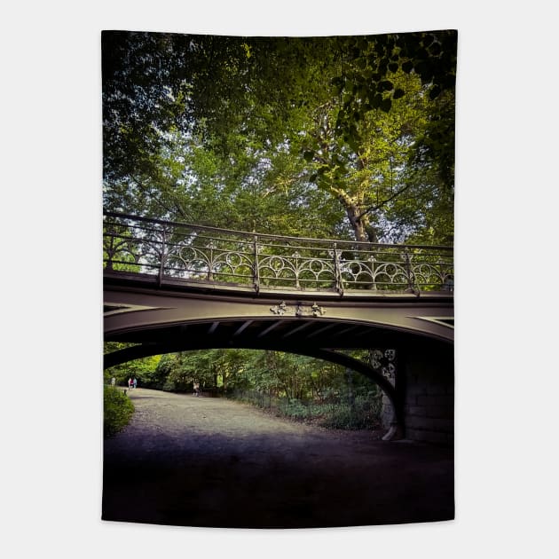 Central Park Bridge Manhattan NYC Tapestry by eleonoraingrid