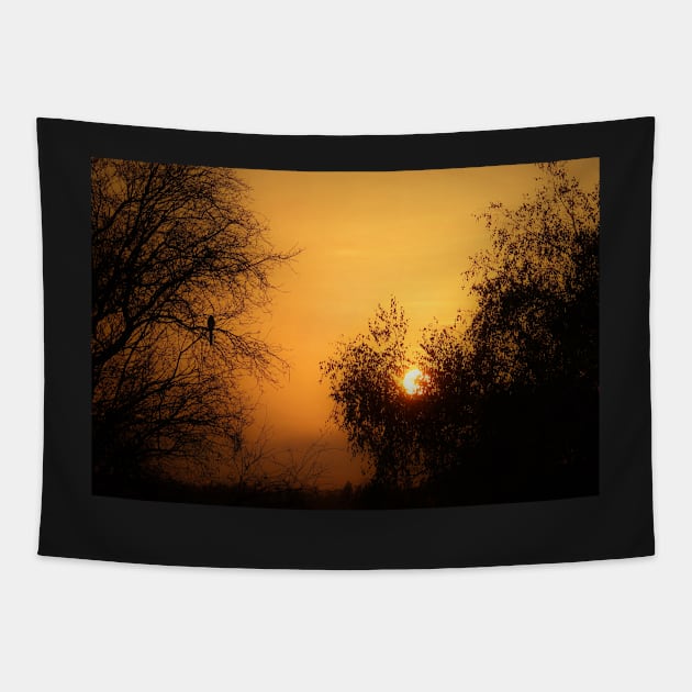 A bird watching the sunset? Tapestry by Trine