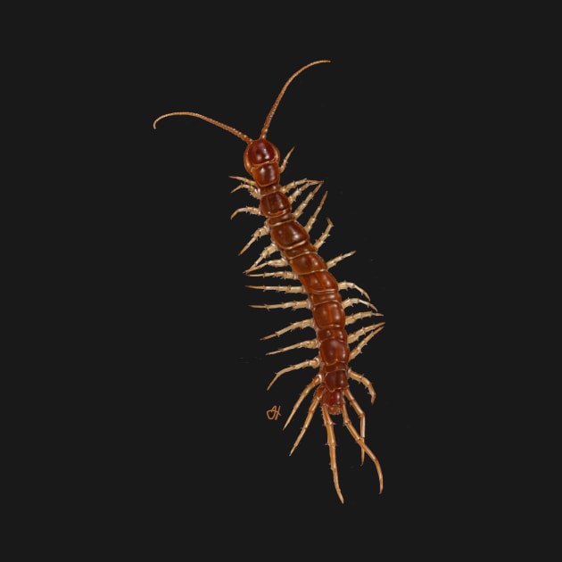 Friendly Centipede Wants to Cuddle! by John Himmelman