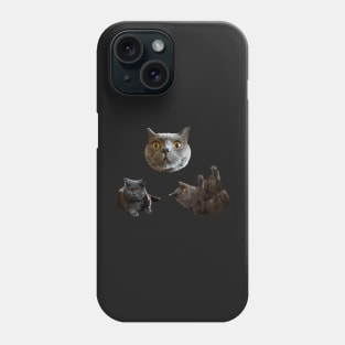 Tiny Chartreux Sticker Pack Phone Case