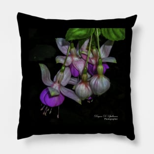 Fuchsia Cluster Pillow