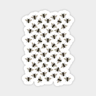 Honey Bee Pattern | Bees | Bee Patterns | Save the Bees | Honey Bees | Magnet