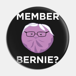 Member Bernie? Pin