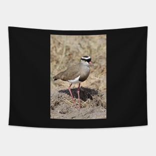 Crowned Plover, Kenya Tapestry