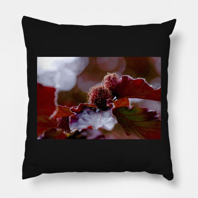 LIFE'S A BEECH! Pillow by dumbodancer