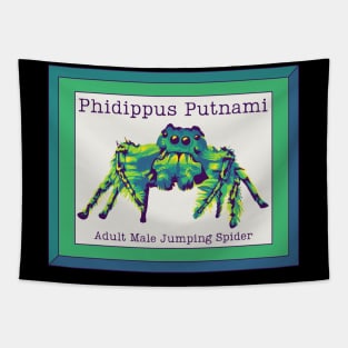 Phidippus Putnami - Jumping Spider Tapestry