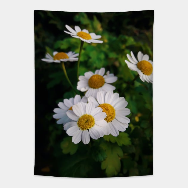 daisy Tapestry by psychoshadow