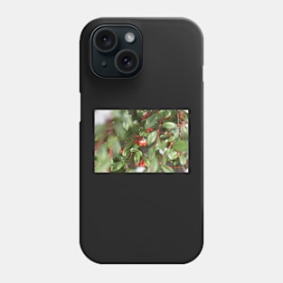 Berries Phone Case