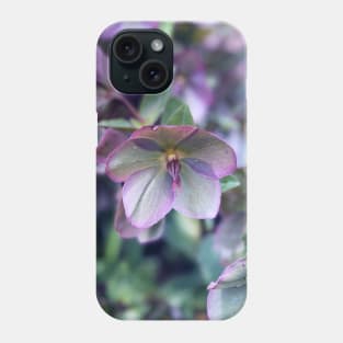 Hellebores in Spring Phone Case