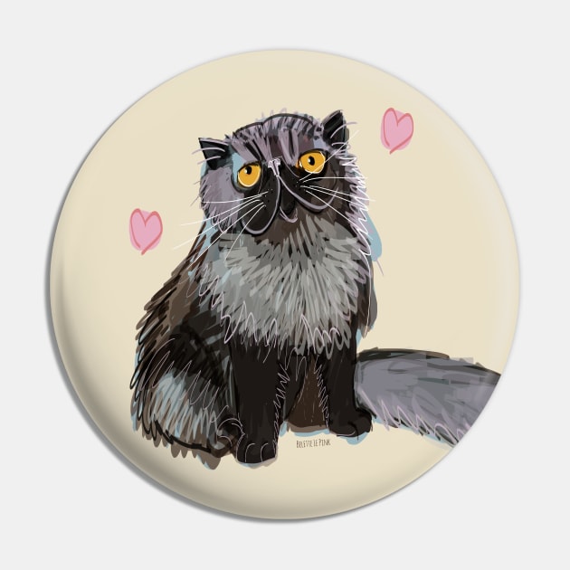 Alfredo-Cat Persian cat lovers Pin by belettelepink