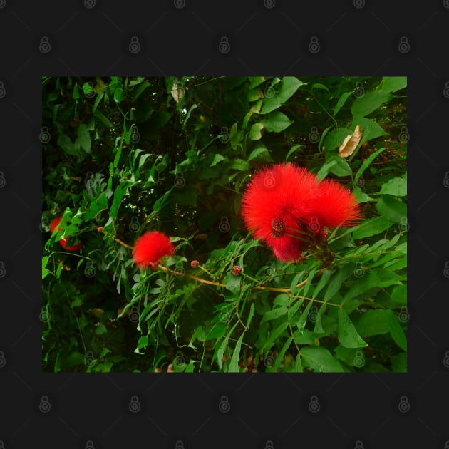 These fuzzy red flowers make me smile by HFGJewels