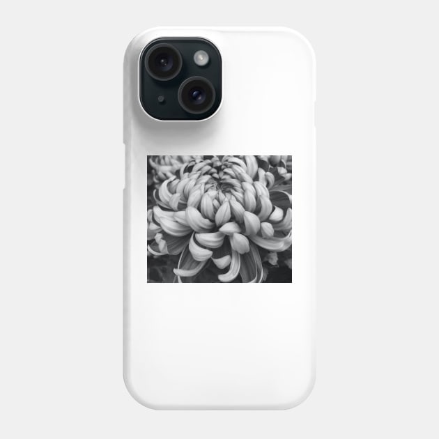 Dark to Light Phone Case by Photomersion