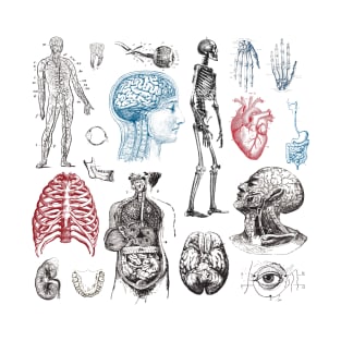 Anatomy Illustrations Vintage Pattern T-Shirt