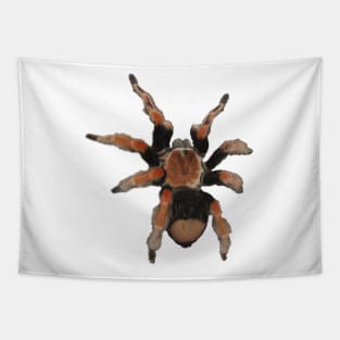 Tarantula Tapestry