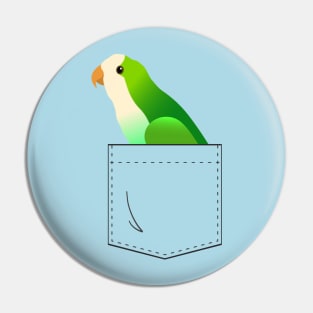 Quaker Parrot Monk Parakeet In Your Front Pocket Pin