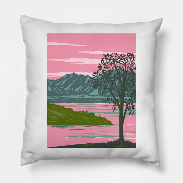 Lake Havasu in California and Arizona USA WPA Art Poster Pillow by retrovectors