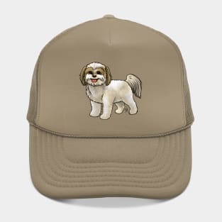 Dog - Shih Poo - Cream and Tan Hat