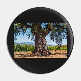 Sonoma Valley Tree Pin