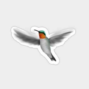 Tiny Illustrated Hummingbird Magnet