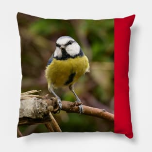 r705/   " Les Oiseaux du jardin " simply life " Simplement la Vie " - photo Okaio Créations - Olavia-Olao Pillow